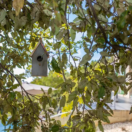 2m Villa Makarska
